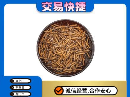 临汾市尧都高价回收散虫草